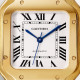 Cartier WGSA0030 Santos