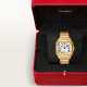 Cartier WGSA0030 Santos
