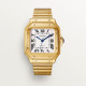 Cartier WGSA0030 Santos