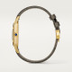 Cartier WGSA0097 Santos-Dumont