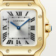 Cartier WGSA0107 Santos
