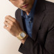 Cartier WGSA0110 Santos-Dumont