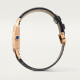 Cartier WGSA0116 Santos-Dumont