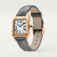 Cartier WGSA0117 Santos-Dumont