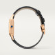 Cartier WGSA0117 Santos-Dumont