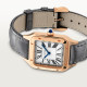 Cartier WGSA0117 Santos-Dumont