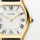 Cartier WGTO0015 Tortue