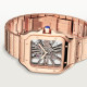 Cartier WHSA0016 Santos