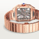 Cartier WHSA0016 Santos