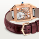 Cartier WHSA0030 Santos-Dumont 