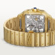 Cartier WHSA0042 Santos