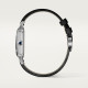 Cartier WHSA0044 Santos-Dumont