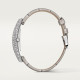 Cartier WJBA0007 Baignoire Allongée