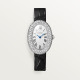 Cartier WJBA0046 Baignoire