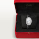 Cartier WJBA0046 Baignoire