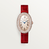 Cartier WJBA0047 Baignoire