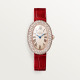 Cartier WJBA0047 Baignoire