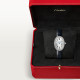 Cartier WJBA0049 Baignoire