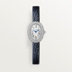 Cartier WJBA0070 Baignoire