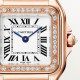 Cartier WJPN0061 Panthère