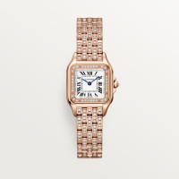 Cartier WJPN0061 Panthère
