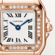 Cartier WJPN0063 Panthère