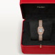 Cartier WJPN0063 Panthère
