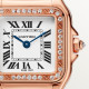 Cartier WJPN0069 Panthère