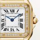 Cartier WJPN0086 Panthère