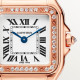 Cartier WJPN0087 Panthère