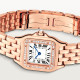 Cartier WJPN0087 Panthère