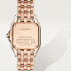 Cartier WJPN0091 Panthère