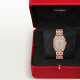 Cartier WJPN0092 Panthère