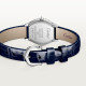 Cartier WJTO0013 Tortue