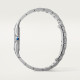 Cartier WSPN0016 Panthère