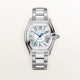 Cartier WSRD0019 Roadster