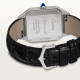 Cartier WSSA0046 Santos-Dumont