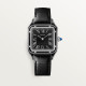 Cartier WSSA0046 Santos-Dumont