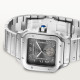 Cartier WSSA0076 Santos