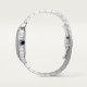 Cartier WSSA0076 Santos