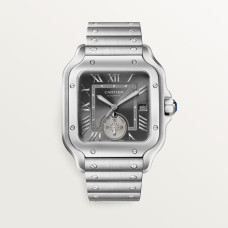 Cartier WSSA0076 Santos