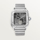 Cartier WSSA0076 Santos