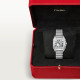 Cartier WSSA0082 Santos