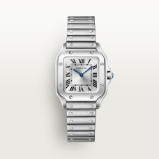 Cartier WSSA0082 Santos
