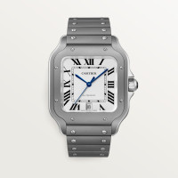 Cartier WSSA0089 Santos