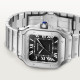 Cartier WSSA0096 Santos