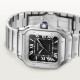 Cartier WSSA0096 Santos