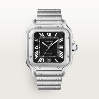 Cartier WSSA0096 Santos