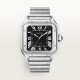Cartier WSSA0096 Santos
