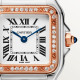 Panthere de Cartier W3PN0006